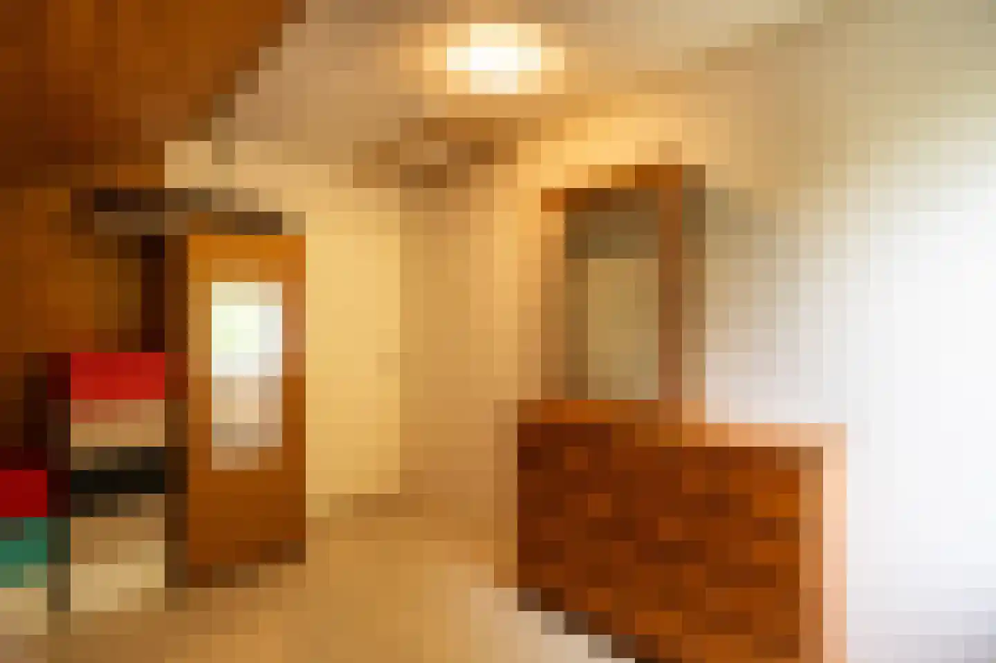 Achterkade 5 Vianen thumbnail 36