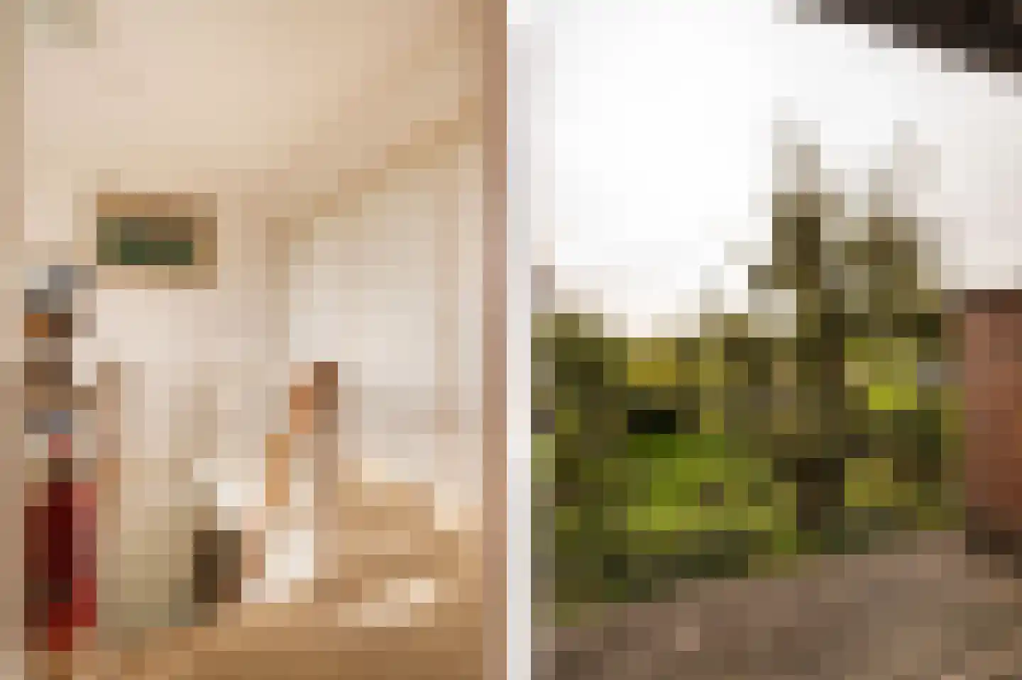 Achterkade 5 Vianen thumbnail 38
