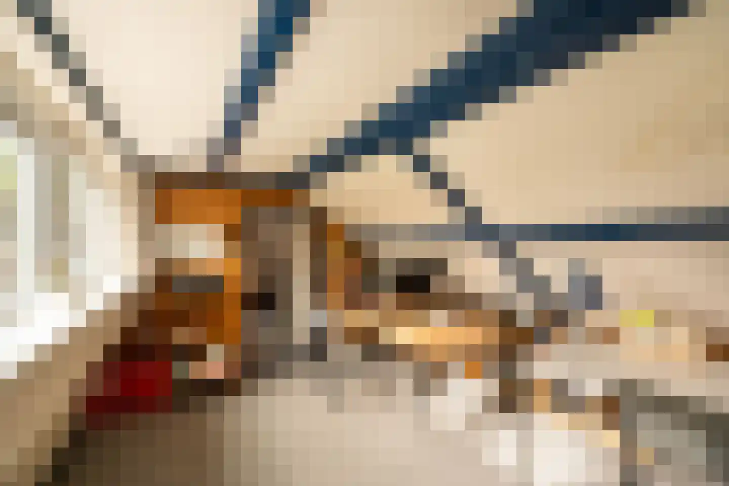 Achterkade 5 Vianen thumbnail 39