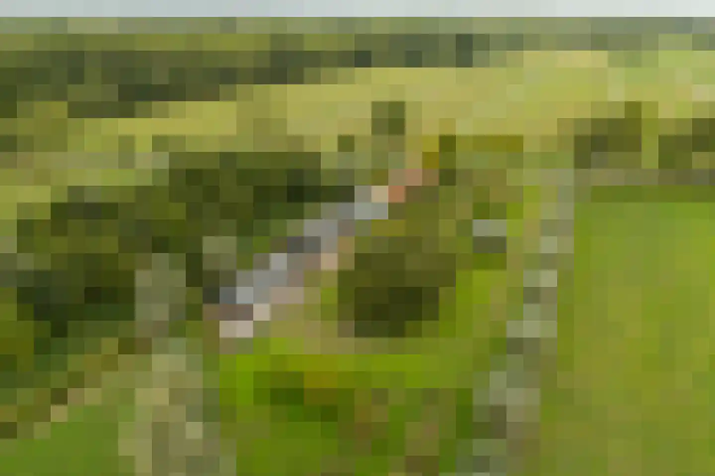 Achterkade 5 Vianen thumbnail 4