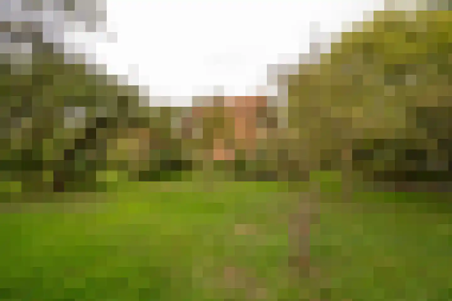 Achterkade 5 Vianen thumbnail 46
