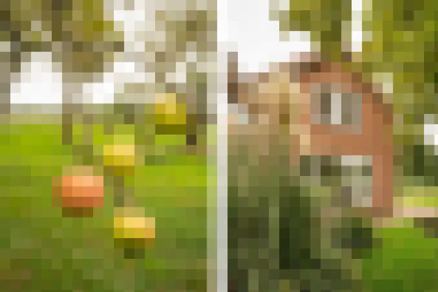 Achterkade 5 Vianen thumbnail 47