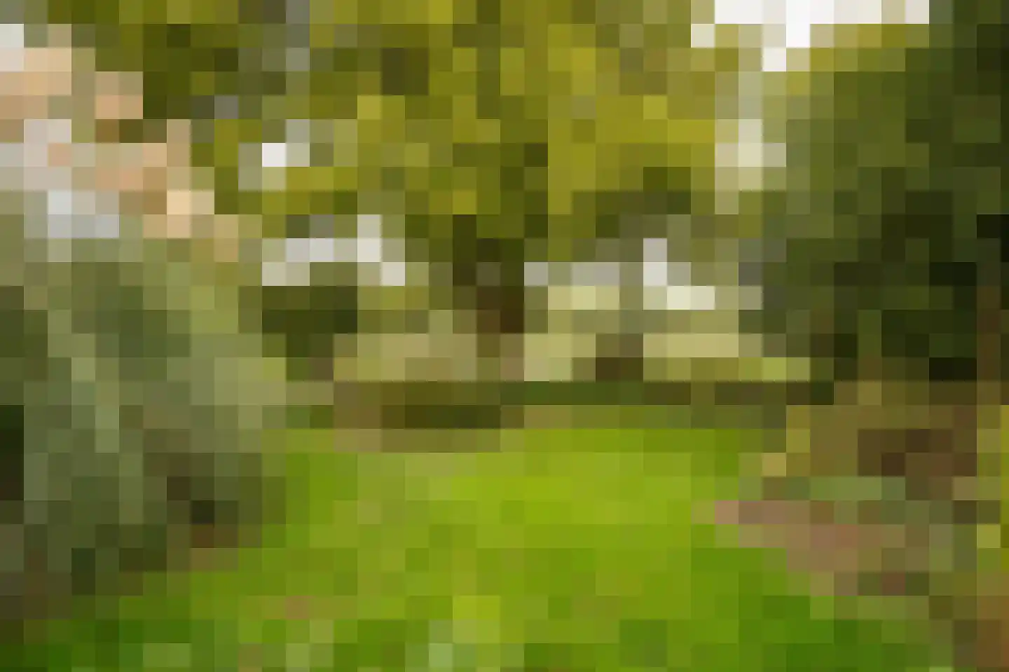 Achterkade 5 Vianen thumbnail 48