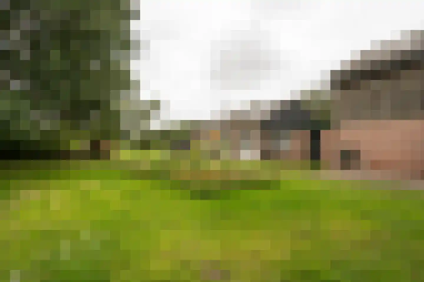 Achterkade 5 Vianen thumbnail 5
