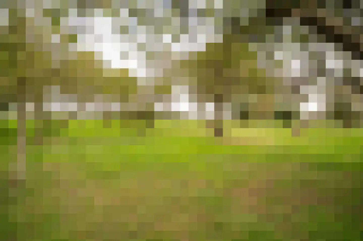 Achterkade 5 Vianen thumbnail 51