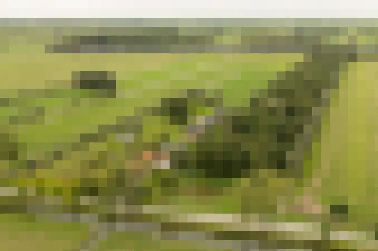 Achterkade 5 Vianen thumbnail 6