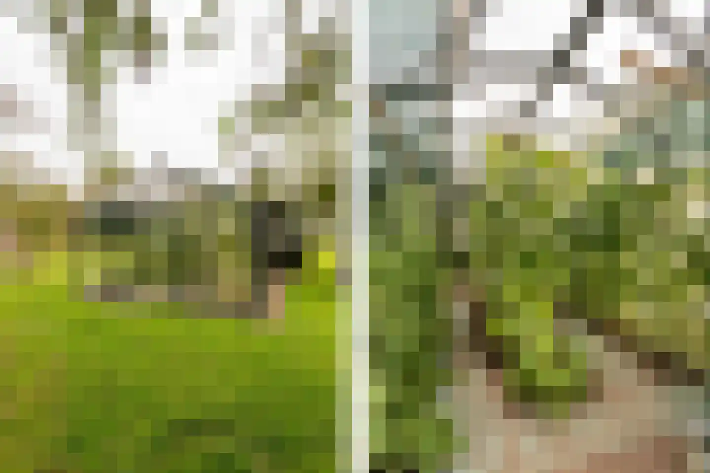 Achterkade 5 Vianen thumbnail 60