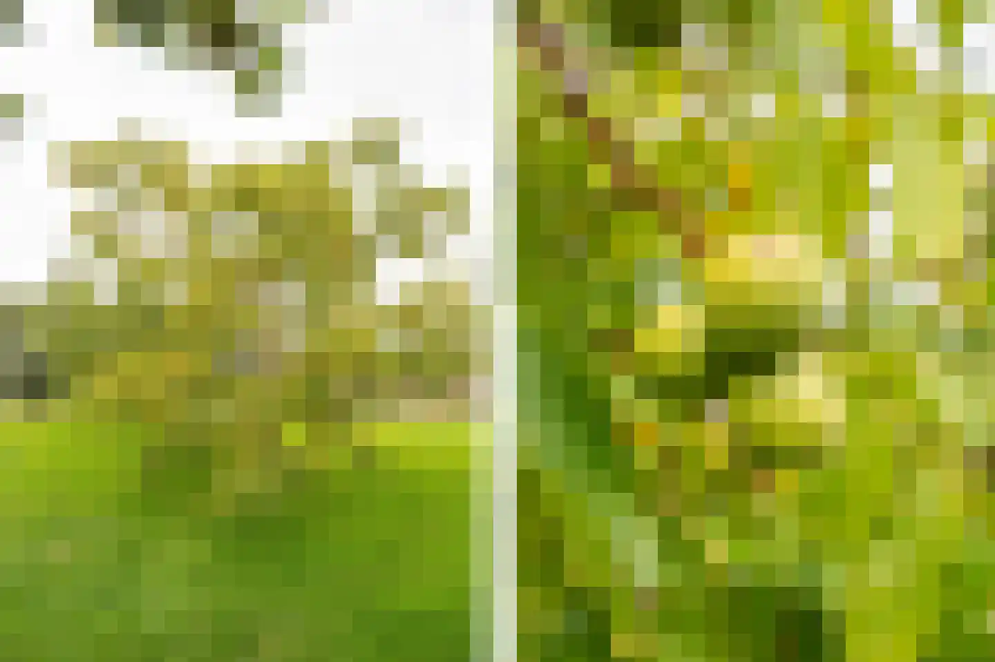 Achterkade 5 Vianen thumbnail 62
