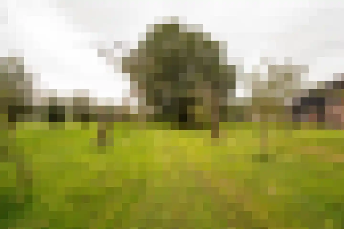 Achterkade 5 Vianen thumbnail 64