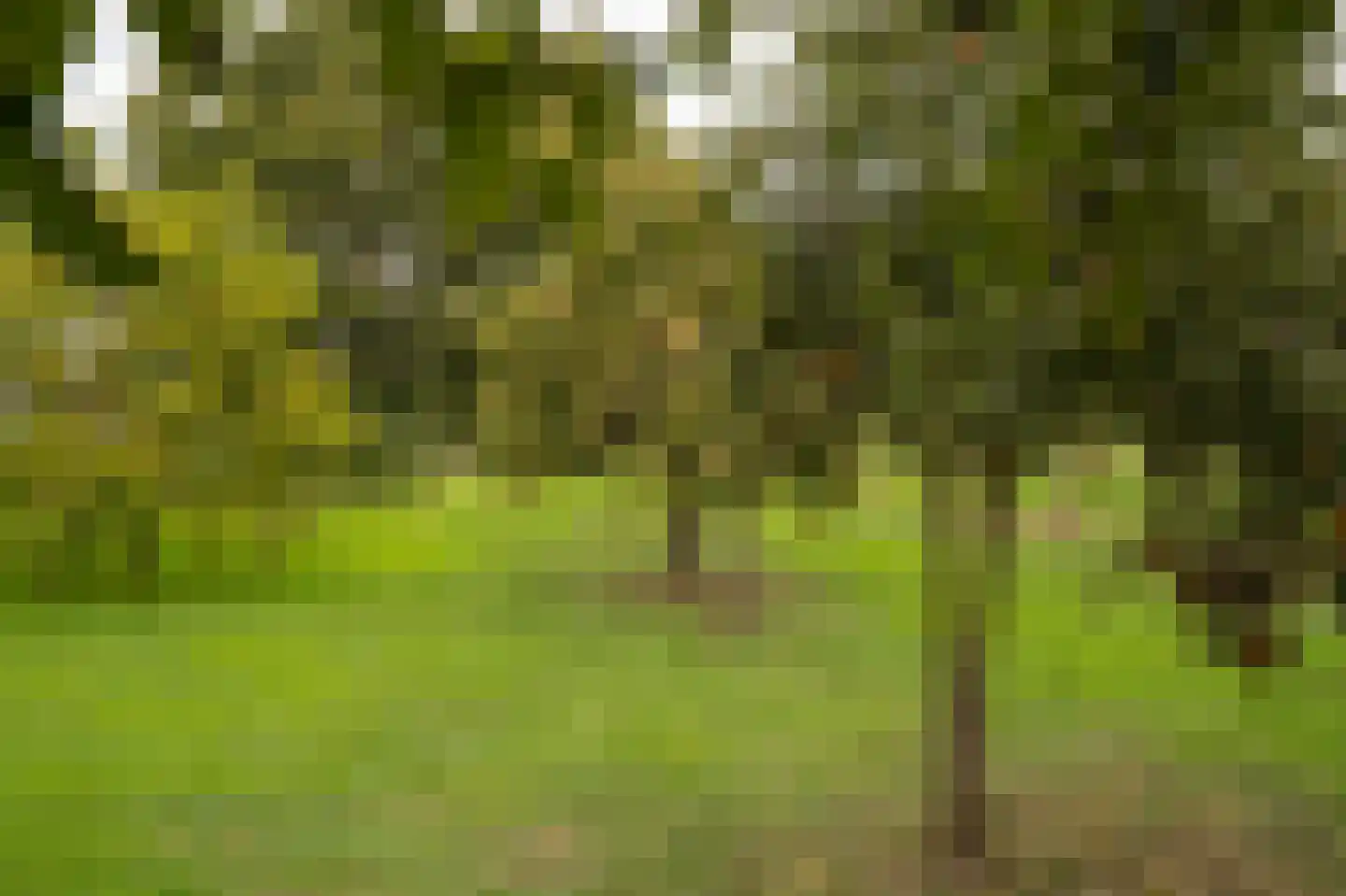 Achterkade 5 Vianen thumbnail 65