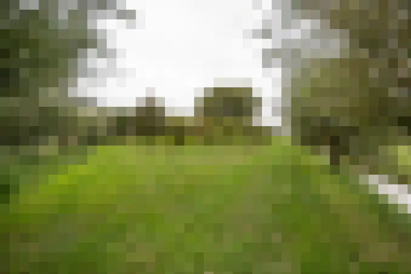 Achterkade 5 Vianen thumbnail 66
