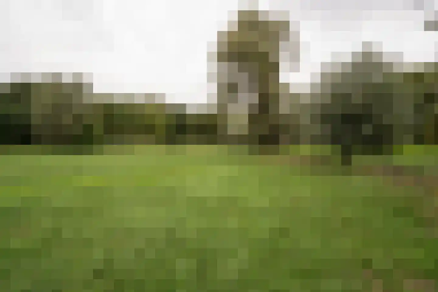 Achterkade 5 Vianen thumbnail 67