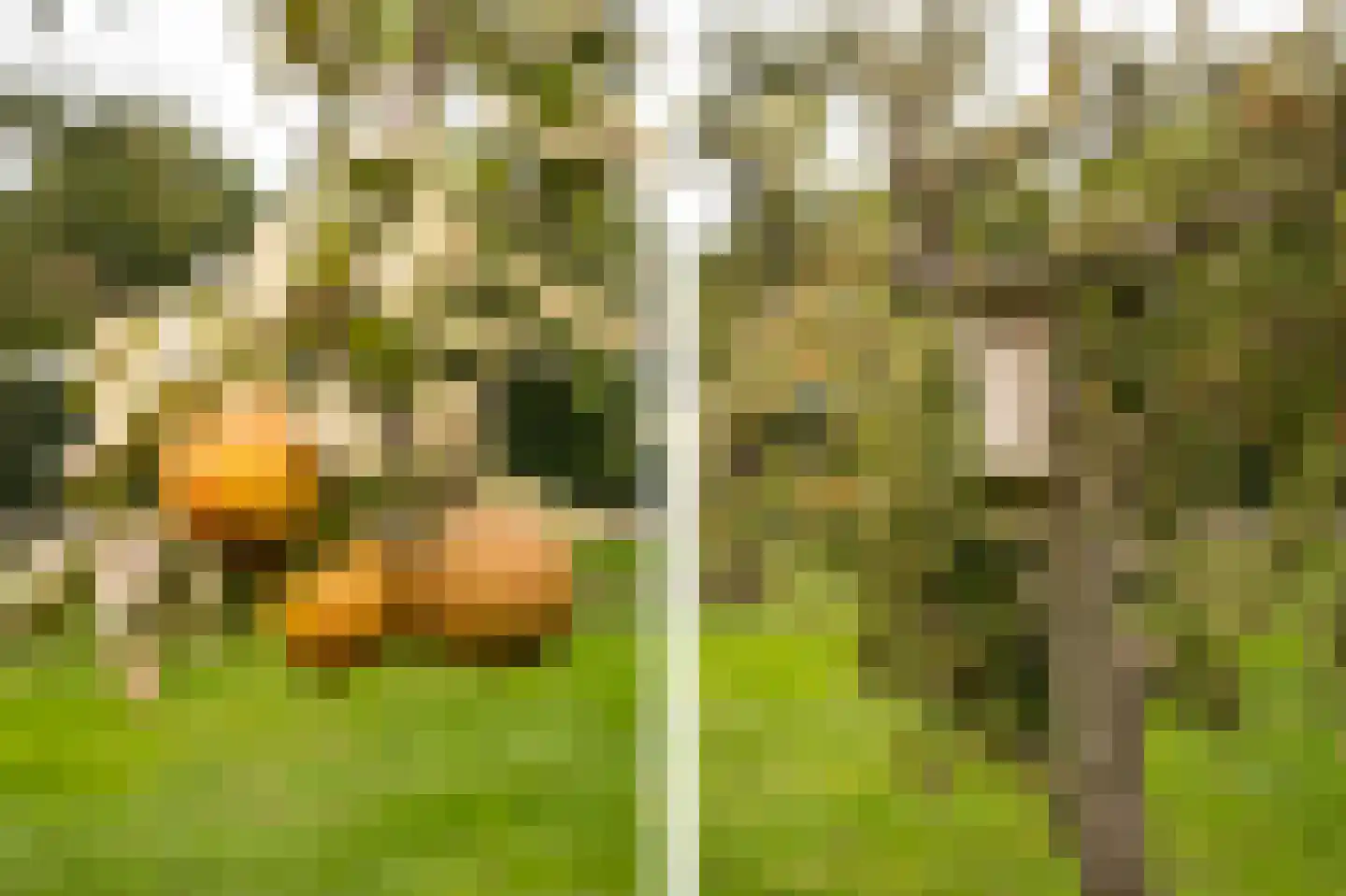 Achterkade 5 Vianen thumbnail 68