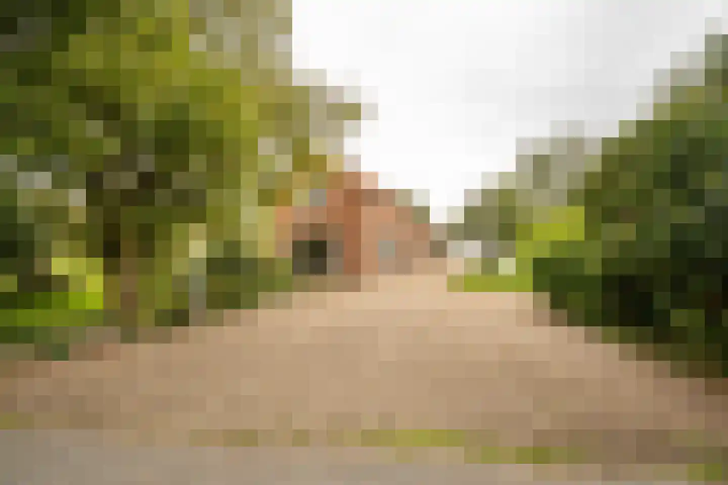 Achterkade 5 Vianen thumbnail 7