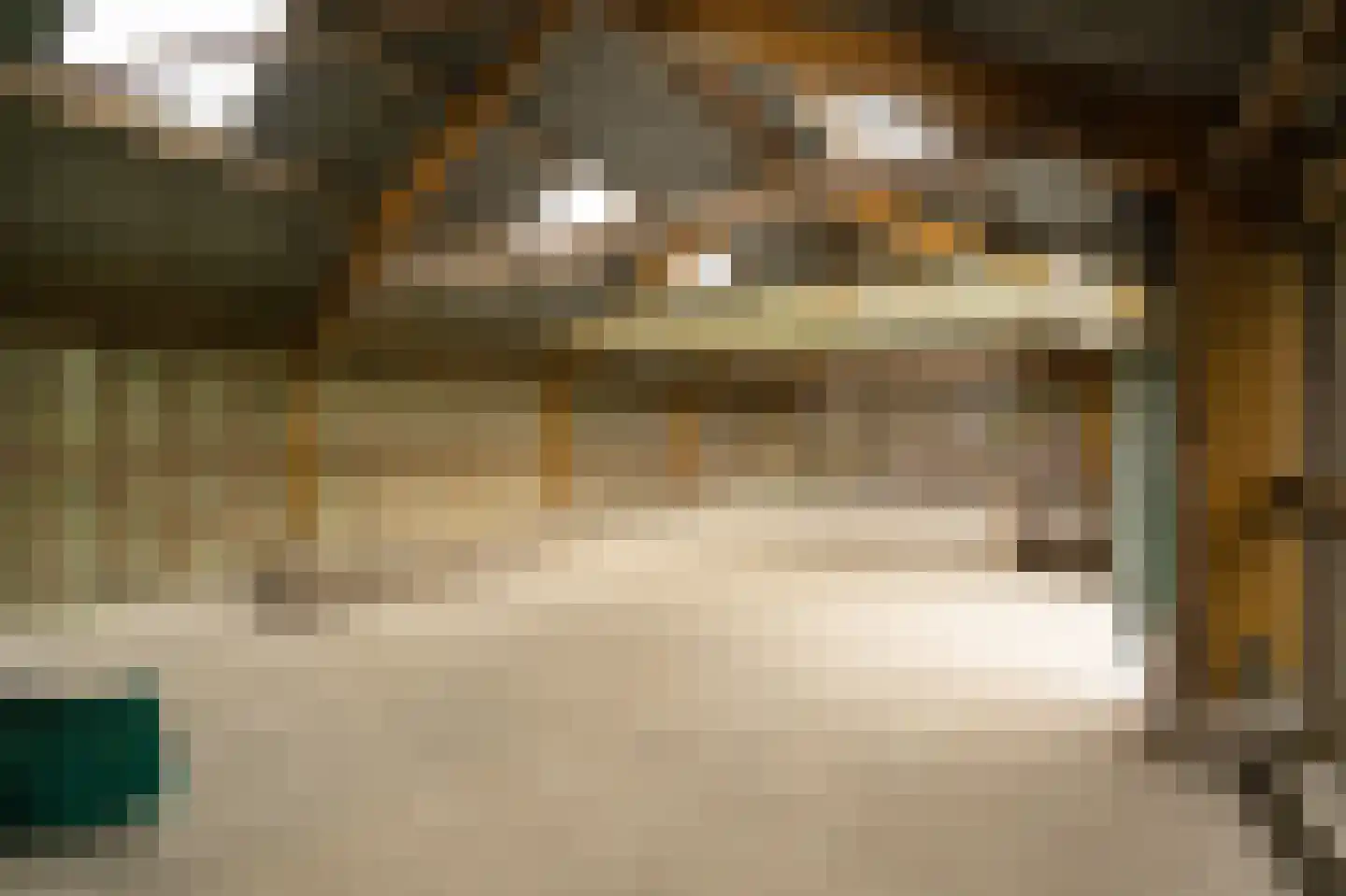Achterkade 5 Vianen thumbnail 88