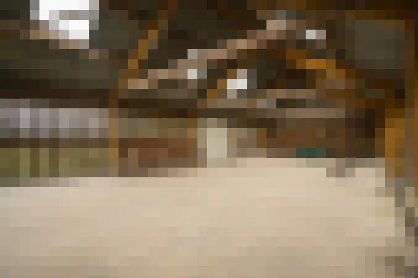 Achterkade 5 Vianen thumbnail 89