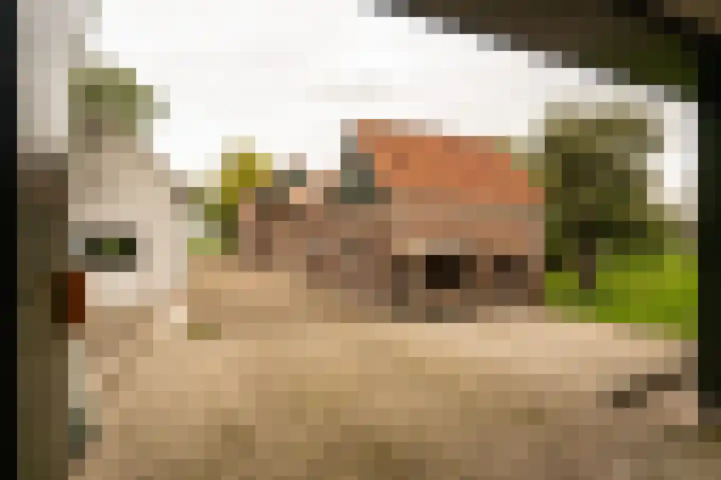 Achterkade 5 Vianen thumbnail 98