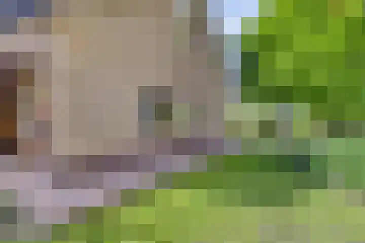 Achterkamp 14 Wezep thumbnail 11