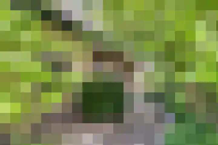 Achterkamp 14 Wezep thumbnail 14