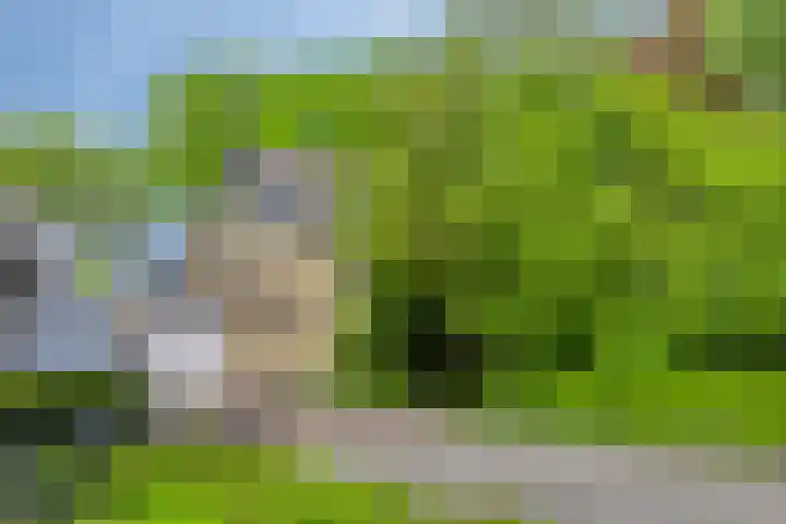 Achterkamp 14 Wezep thumbnail 15