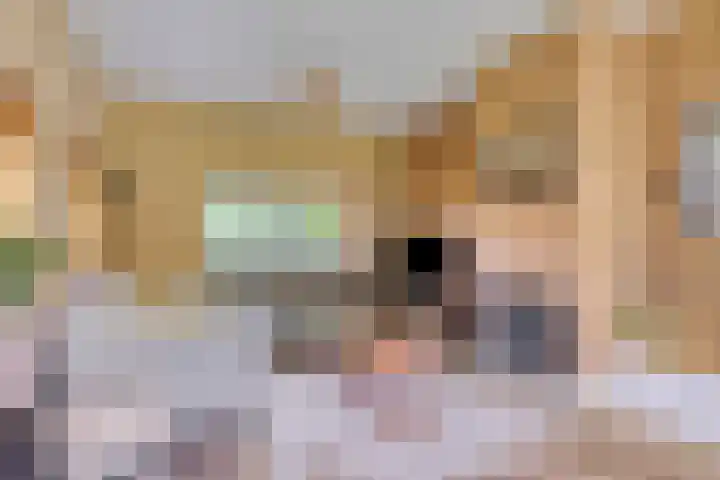 Achterkamp 14 Wezep thumbnail 21