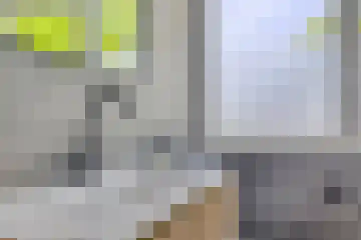 Achterkamp 14 Wezep thumbnail 37