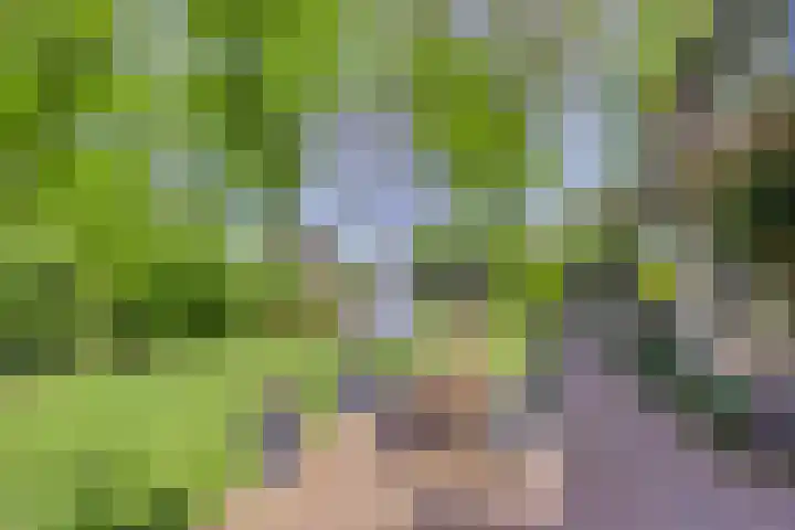 Achterkamp 14 Wezep thumbnail 4