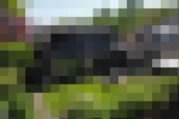 Achterkamp 14 Wezep thumbnail 40