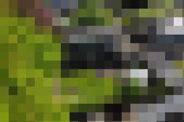 Achterkamp 14 Wezep thumbnail 41