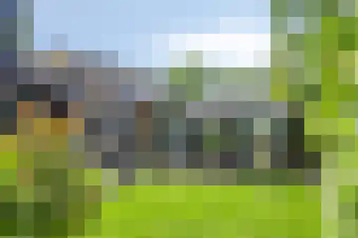 Achterkamp 14 Wezep thumbnail 5
