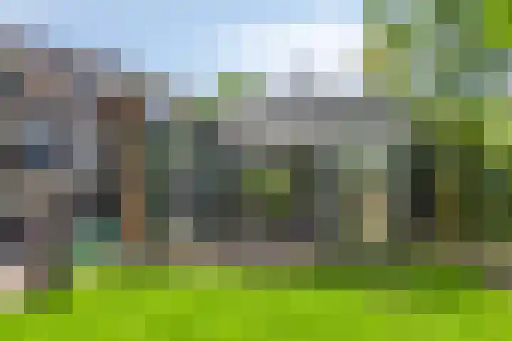 Achterkamp 14 Wezep thumbnail 6