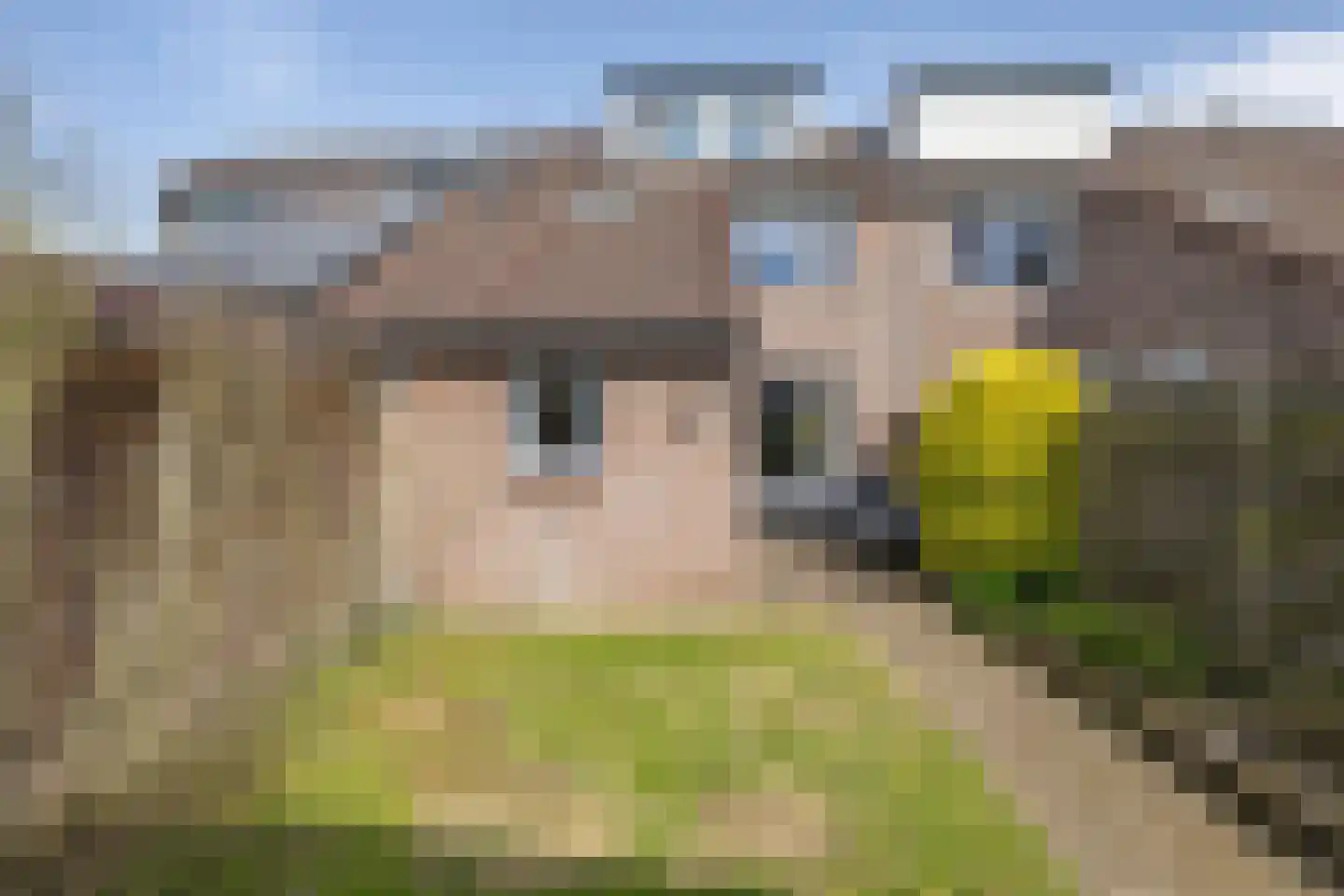 Achterkamp 17 Schoonebeek thumbnail 32