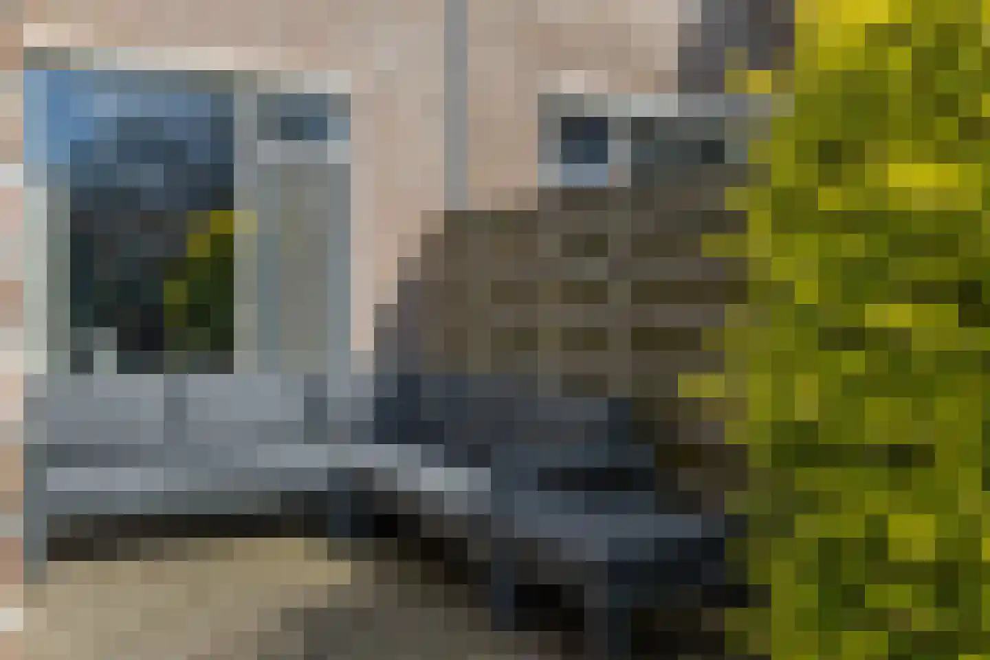 Achterkamp 17 Schoonebeek thumbnail 35
