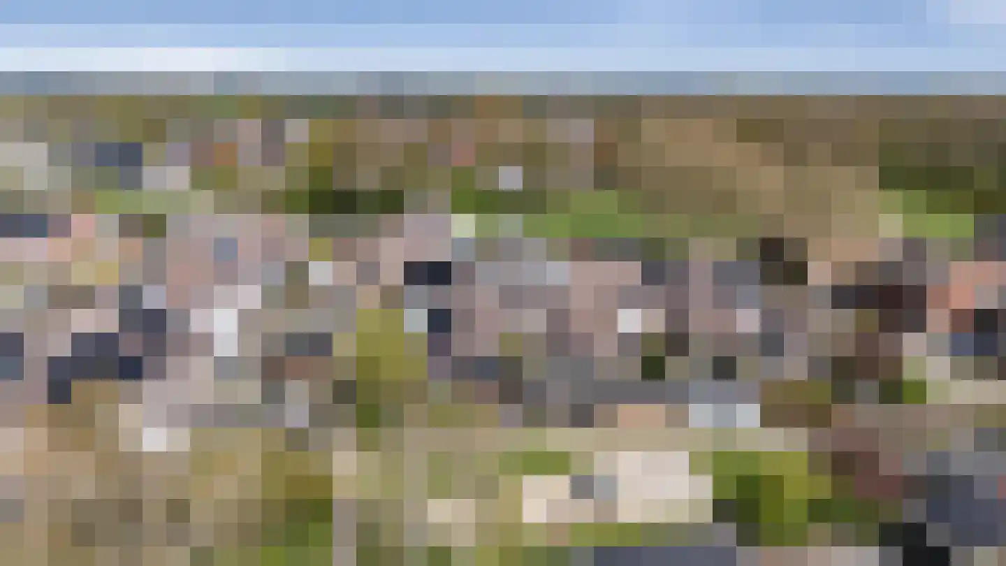 Achterkamp 17 Schoonebeek thumbnail 39