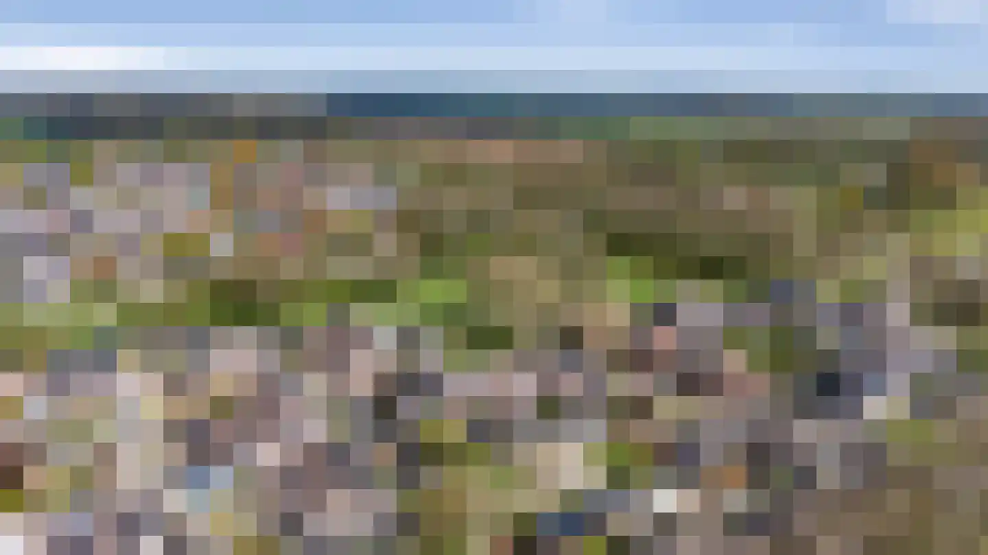 Achterkamp 17 Schoonebeek thumbnail 41