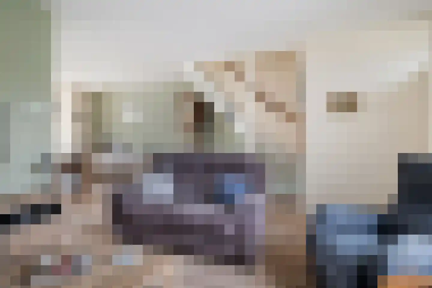 Achterkamp 41 Schoonebeek thumbnail 16