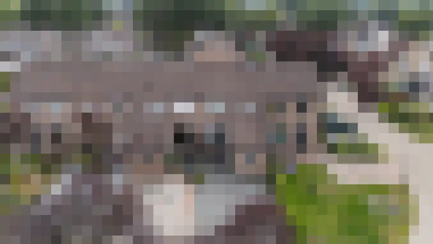 Achterkamp 41 Schoonebeek thumbnail 30
