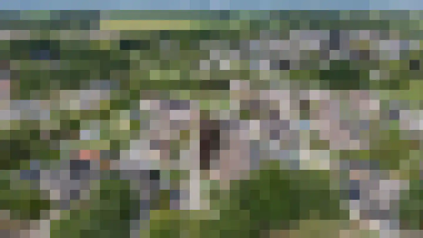 Achterkamp 41 Schoonebeek thumbnail 32