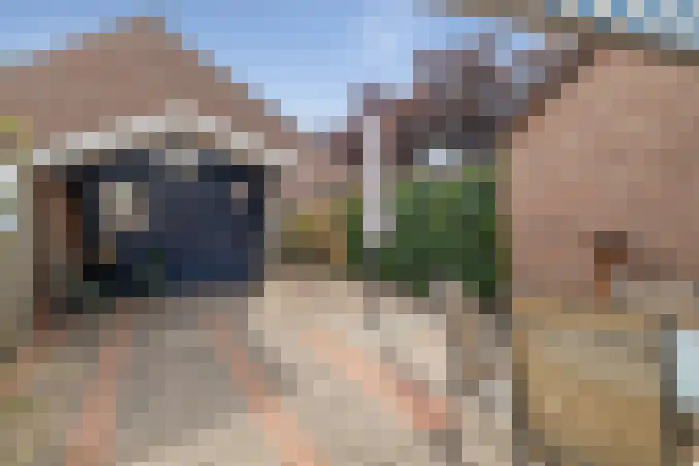 Achterkamp 41 Schoonebeek thumbnail 7
