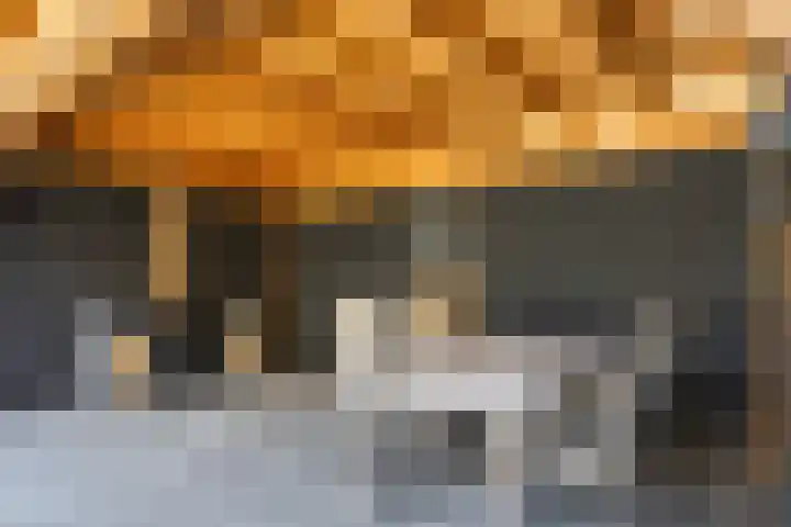 Achterkamp 45 Schoonebeek thumbnail 12