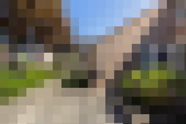 Achterkamp 45 Schoonebeek thumbnail 13