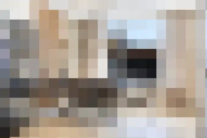 Achterkamp 45 Schoonebeek thumbnail 20