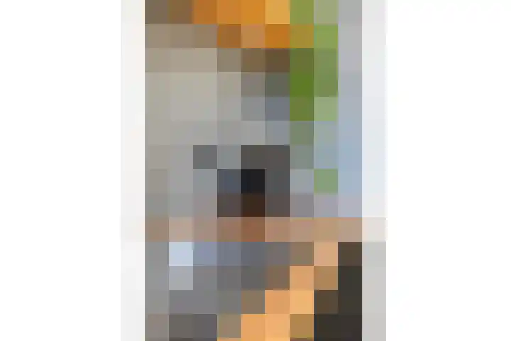 Achterkamp 45 Schoonebeek thumbnail 26