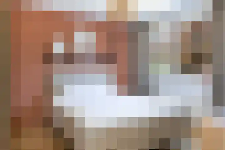 Achterkamp 45 Schoonebeek thumbnail 30