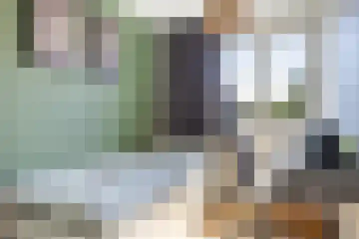 Achterkamp 45 Schoonebeek thumbnail 32