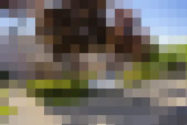 Achterkamp 45 Schoonebeek thumbnail 39