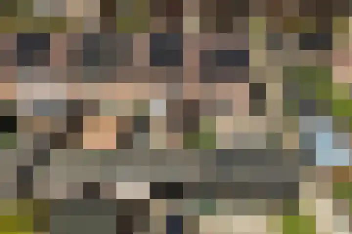 Achterkamp 45 Schoonebeek thumbnail 41