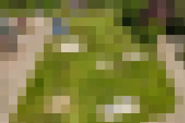 Achterkamp 45 Schoonebeek thumbnail 42