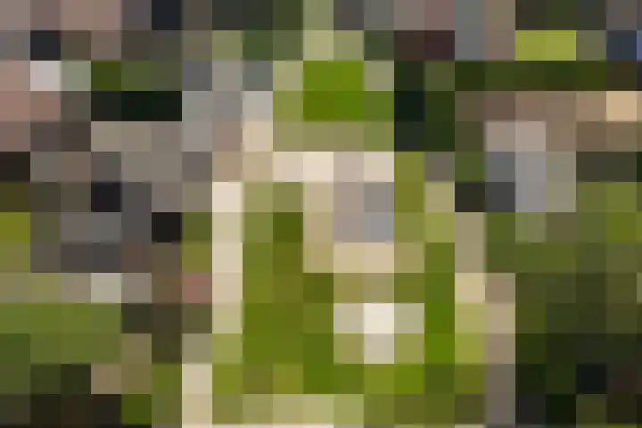 Achterkamp 45 Schoonebeek thumbnail 43