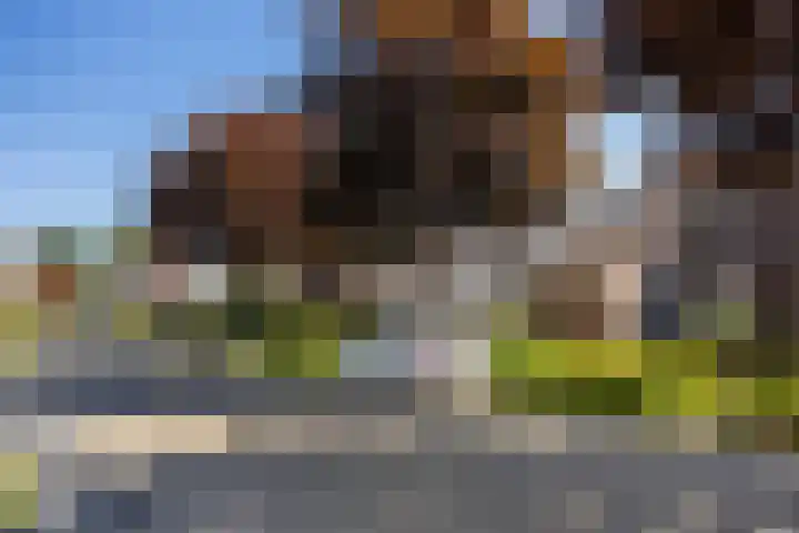 Achterkamp 45 Schoonebeek thumbnail 5